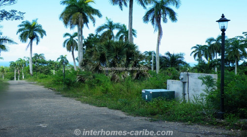photos for SOSUA: LOT PALM GARDEN 1 590 M2